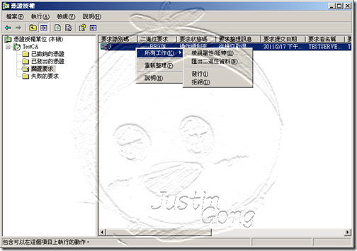 Issue_CodeSign_Windows2003_02-01