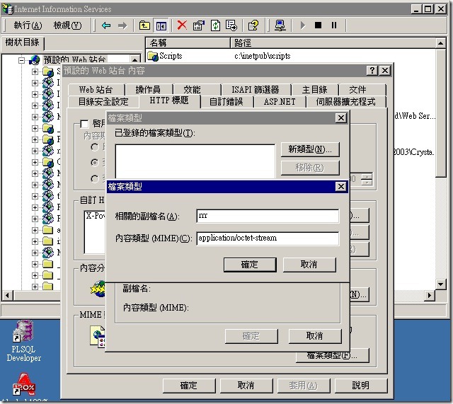 IIS6建立MIMI類型對應